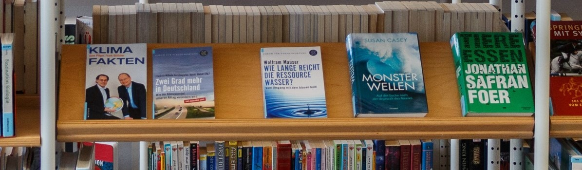 Bild von Büchern in einem Regal der Bücherei